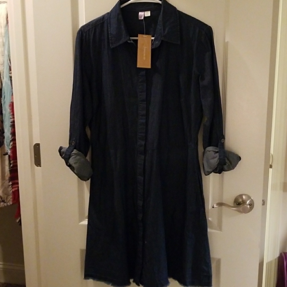 NWT Denim Dress